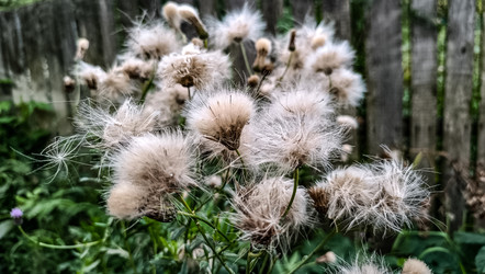 Similar image 22121838