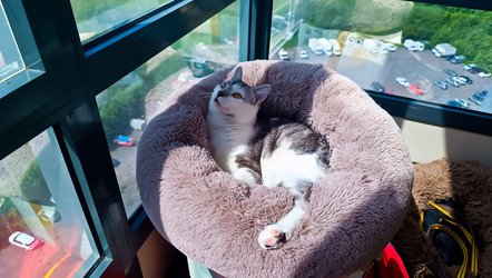 Similar image 22121839