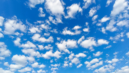 Similar image 22121840