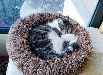 Similar image 22121841