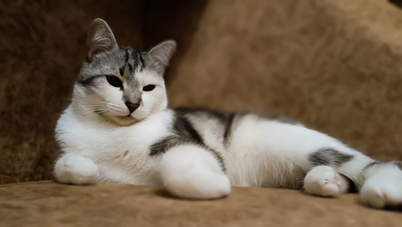 Similar image 22121844