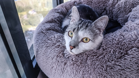 Similar image 22121848