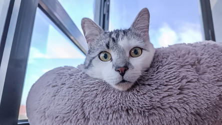 Similar image 22121849