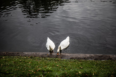 Similar image 22111206