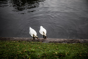 Similar image 22111207