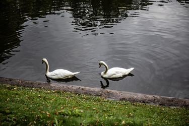 Similar image 22121851