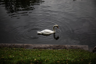 Similar image 22111209