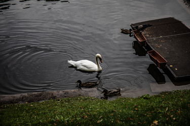 Similar image 22111212