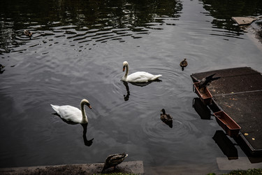 Similar image 22111215