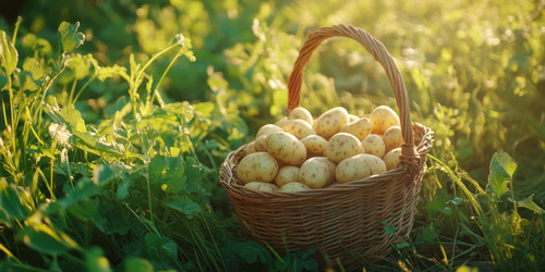 Similar image 22097172