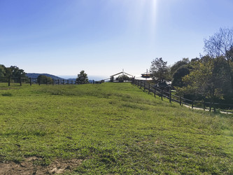 Similar image 22129911