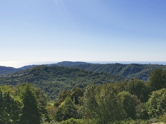 Similar image 22129912