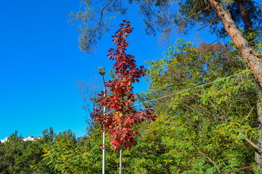 Similar image 22124722