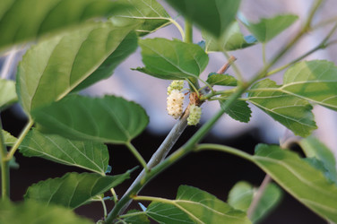 Similar image 22095637