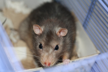 Similar image 22095639