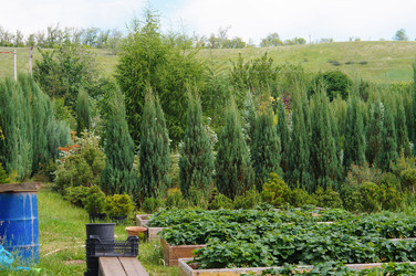 Similar image 22095642