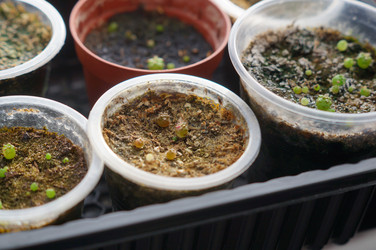 Similar image 22095643