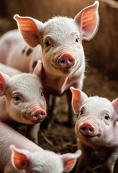 Similar image 22119118