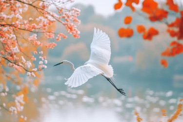 Similar image 22111643