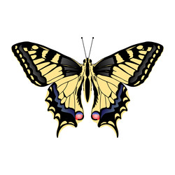 Similar image 22110019