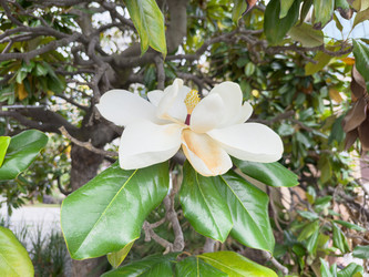 Similar image 22110257