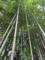 Similar image 22110259