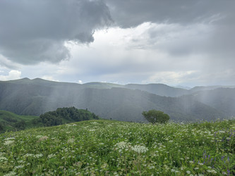 Similar image 22110260