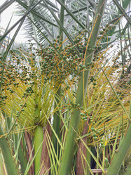 Similar image 22110261