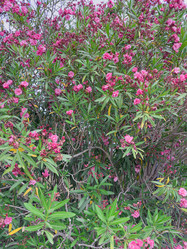 Similar image 22110263