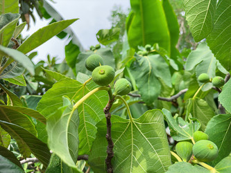 Similar image 22110264