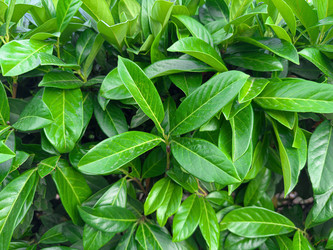 Similar image 22110266