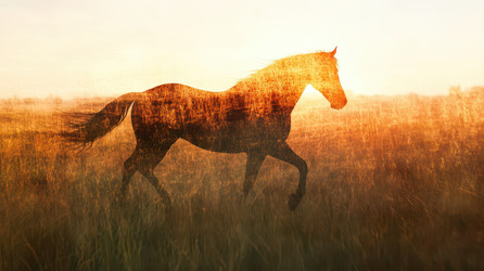 Similar image 22123319