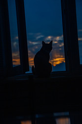 Similar image 22127940