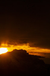 Similar image 22127959