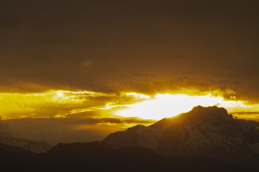 Similar image 22127964