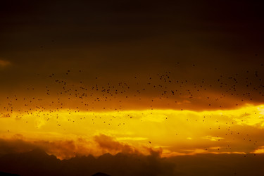 Similar image 22127965