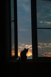 Similar image 22126431