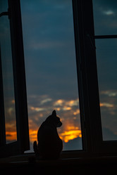 Similar image 22126433