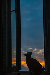 Similar image 22127743