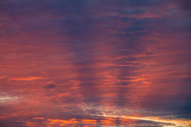 Similar image 22127777