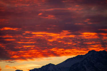 Similar image 22127783