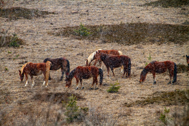 Similar image 22127798