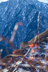 Similar image 22126296