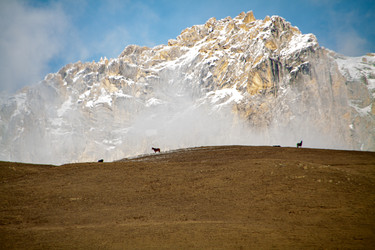 Similar image 22126303