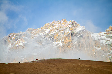 Similar image 22127820