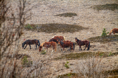 Similar image 22127821