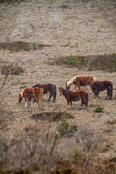 Similar image 22127824