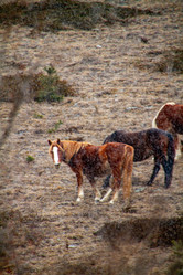 Similar image 22127825