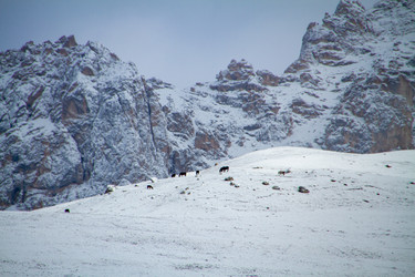 Similar image 22127826