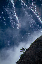 Similar image 22127827